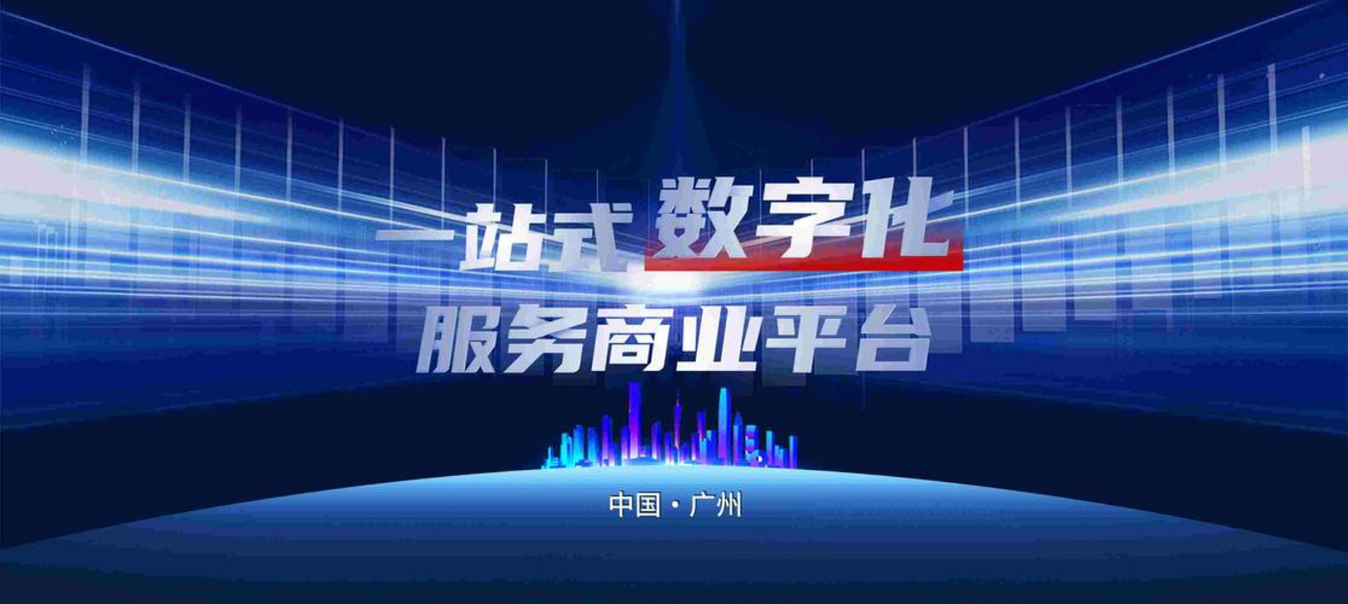 翠兔网络科技